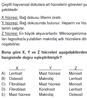 Dokularcözümlütest2004