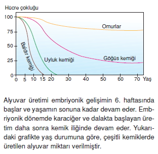 Dokularkonutesti4001