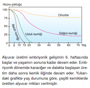 Dokularkonutesti4001