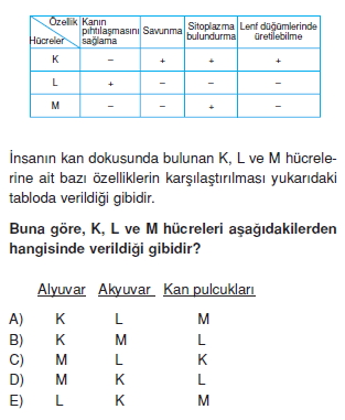 Dokularkonutesti4006