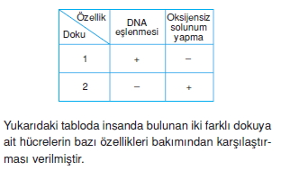 Dokularkonutesti5003