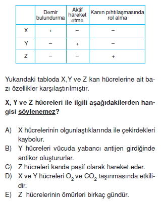 Dokularkonutesti5004