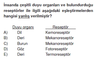 Duyuorganlarıcözümlütest1003