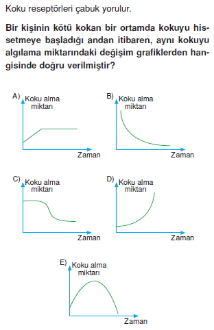 Duyuorganlarıckonutesti1001