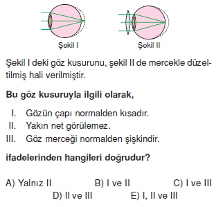 Duyuorganlarıckonutesti1002