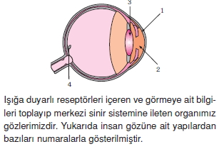 Duyuorganlarıckonutesti2003