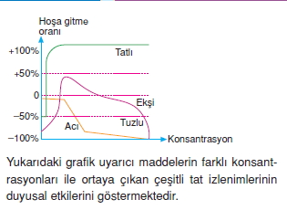 Duyuorganlarıckonutesti3002