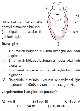 Duyuorganlarıckonutesti3003