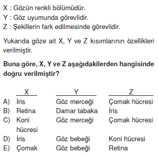 Duyuorganlarıcözümlütest2002