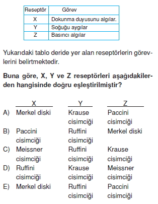 Duyuorganlarıcözümlütest2004