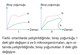 Ekolojicözümlütest1006