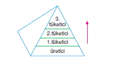 Ekolojicözümlütest1007