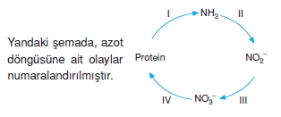 Ekolojicözümlütest2001