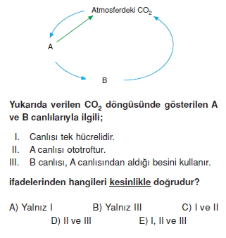 Ekolojicözümlütest2005