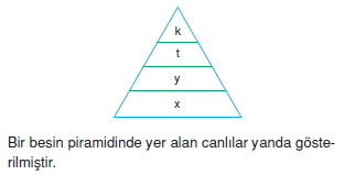 Ekolojicözümlütest2006