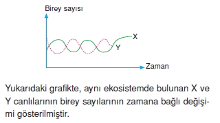 Ekolojicözümlütest2007