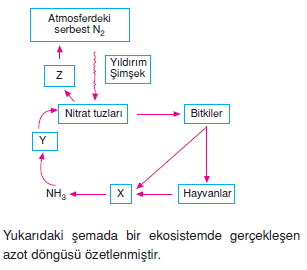 Ekolojikonutesti1006