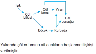 Ekolojikonutesti1008