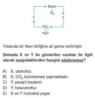 Ekolojikonutesti2001