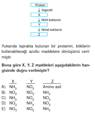 Ekolojikonutesti2007