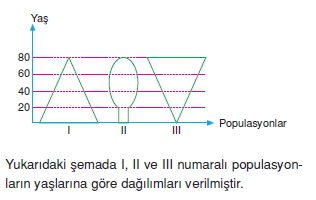 Ekolojikonutesti2008