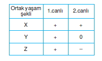 Ekolojikonutesti3001