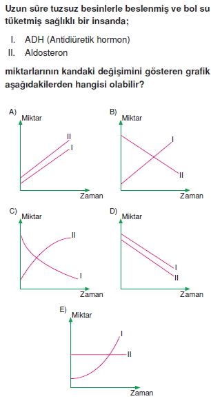 Endokrinsistemcözümlütest1001