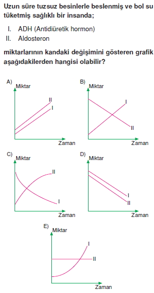 Endokrinsistemcözümlütest1001