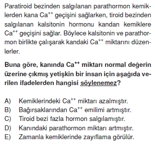 Endokrinsistemcözümlütest1004