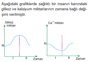 Endokrinsistemcözümlütest2001