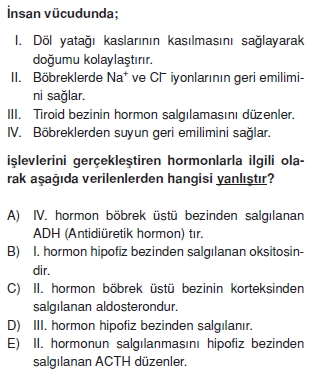 Endokrinsistemcözümlütest2002