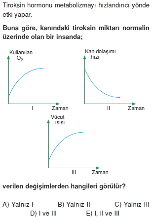 Endokrinsistemcözümlütest2003