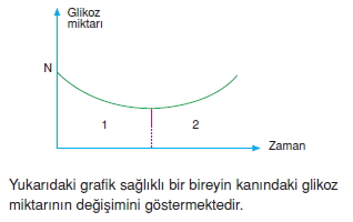 Endokrinsistemkonutesti1002