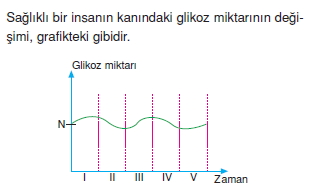 Endokrinsistemkonutesti2001