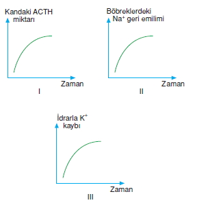 Endokrinsistemkonutesti3001