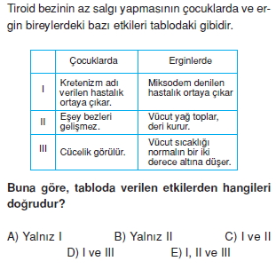 Endokrinsistemkonutesti3004