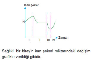 Endokrinsistemkonutesti4006