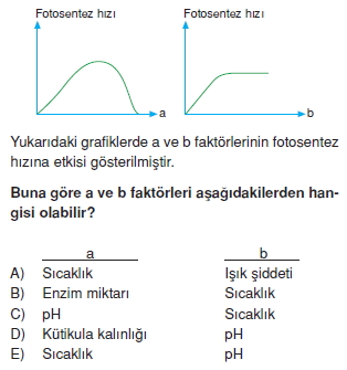Fotosentez Cozumlu Test 1 Bilgicik Com Bilgicik Com