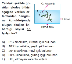 Fotosentezcözümlütest1007