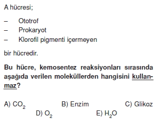 Fotosentezcözümlütest1005