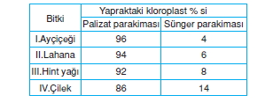 Fotosentezcözümlütest1006