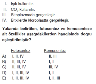 Fotosentezcözümlütest1010