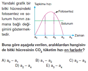 Fotosentezcözümlütest1011