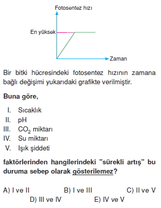 Fotosentezcözümlütest2001