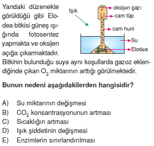 Fotosentezcözümlütest2002