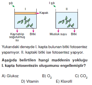 Fotosentezcözümlütest2005