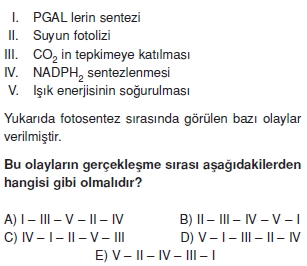 Fotosentezcözümlütest2006