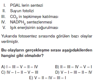 Fotosentezcözümlütest2006