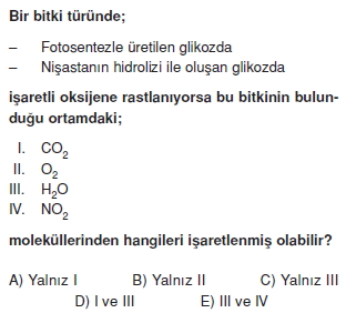 Fotosentezcözümlütest2008