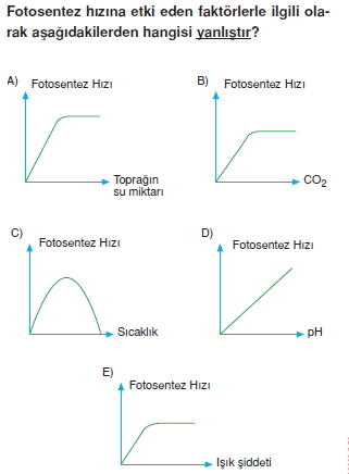 Fotosentezkonutesti1005